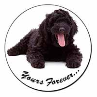 Black Labradoodle 