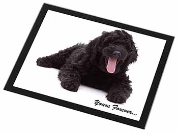 Black Labradoodle 