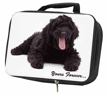 Black Labradoodle 