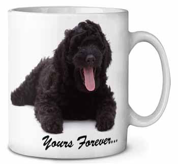 Black Labradoodle 