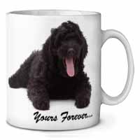 Black Labradoodle 