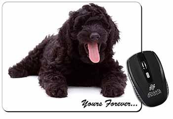 Black Labradoodle 