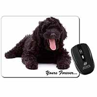 Black Labradoodle 