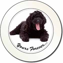 Black Labradoodle 