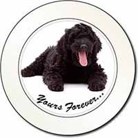 Black Labradoodle 