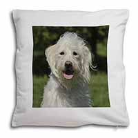White Labradoodle Dog Soft White Velvet Feel Scatter Cushion