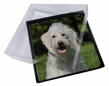 4x White Labradoodle Dog Picture Table Coasters Set in Gift Box