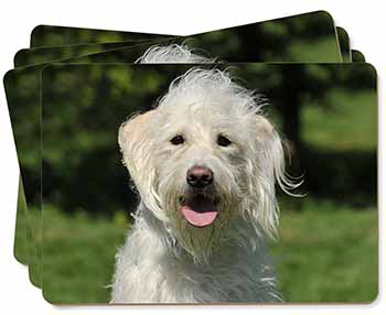 White Labradoodle Dog Picture Placemats in Gift Box