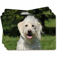 White Labradoodle Dog Picture Placemats in Gift Box