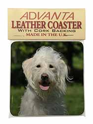 White Labradoodle Dog Single Leather Photo Coaster