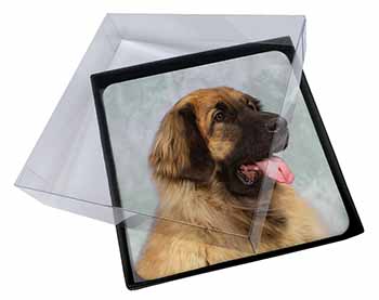 4x Blonde Leonberger Dog Picture Table Coasters Set in Gift Box