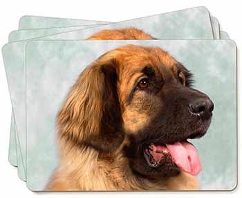 Blonde Leonberger Dog Picture Placemats in Gift Box