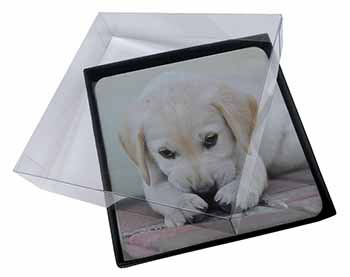4x Cream Labrador Puppy Picture Table Coasters Set in Gift Box