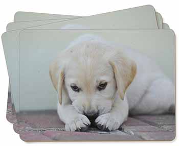 Cream Labrador Puppy Picture Placemats in Gift Box