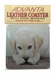 Cream Labrador Puppy Single Leather Photo Coaster