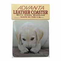 Cream Labrador Puppy Single Leather Photo Coaster