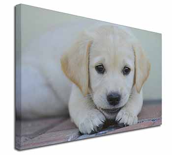 Labrador Puppy Canvas X-Large 30"x20" Wall Art Print