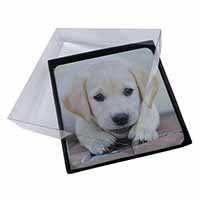 4x Labrador Puppy Picture Table Coasters Set in Gift Box