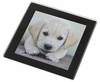 Labrador Puppy Black Rim High Quality Glass Coaster