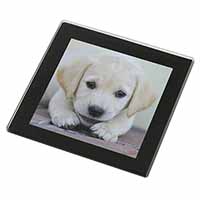 Labrador Puppy Black Rim High Quality Glass Coaster