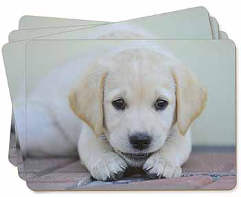 Labrador Puppy Picture Placemats in Gift Box