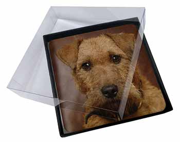 4x Lakeland Terrier Dog Picture Table Coasters Set in Gift Box