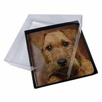 4x Lakeland Terrier Dog Picture Table Coasters Set in Gift Box