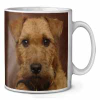 Lakeland Terrier Dog Ceramic 10oz Coffee Mug/Tea Cup