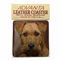 Lakeland Terrier Dog Single Leather Photo Coaster