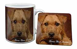 Lakeland Terrier Dog 