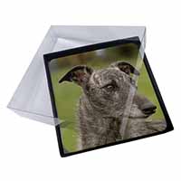 4x Lurcher Dog Picture Table Coasters Set in Gift Box