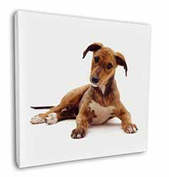 Lurcher Dog Square Canvas 12"x12" Wall Art Picture Print