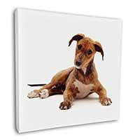 Lurcher Dog Square Canvas 12"x12" Wall Art Picture Print