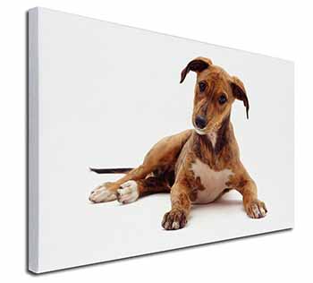 Lurcher Dog Canvas X-Large 30"x20" Wall Art Print