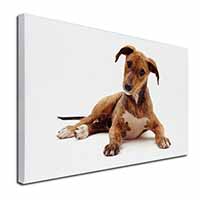Lurcher Dog Canvas X-Large 30"x20" Wall Art Print
