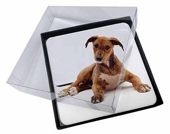 4x Lurcher Dog Picture Table Coasters Set in Gift Box