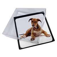 4x Lurcher Dog Picture Table Coasters Set in Gift Box