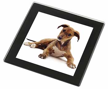 Lurcher Dog Black Rim High Quality Glass Coaster