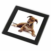 Lurcher Dog Black Rim High Quality Glass Coaster