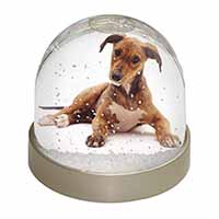 Lurcher Dog Snow Globe Photo Waterball