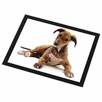 Lurcher Dog Black Rim High Quality Glass Placemat