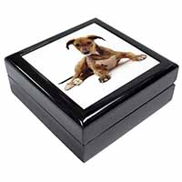 Lurcher Dog Keepsake/Jewellery Box