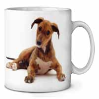 Lurcher Dog Ceramic 10oz Coffee Mug/Tea Cup