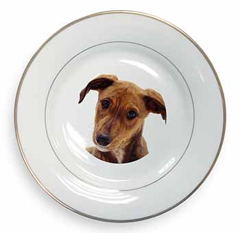 Lurcher Dog Gold Rim Plate Printed Full Colour in Gift Box