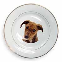 Lurcher Dog Gold Rim Plate Printed Full Colour in Gift Box