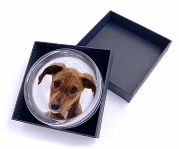 Lurcher Dog Glass Paperweight in Gift Box
