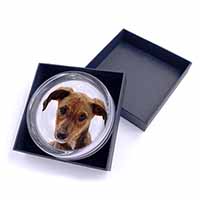 Lurcher Dog Glass Paperweight in Gift Box