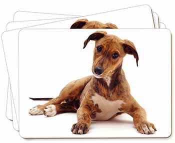 Lurcher Dog Picture Placemats in Gift Box