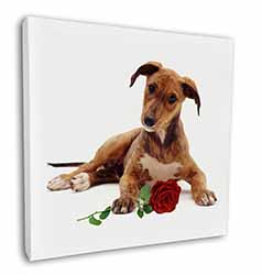 Lurcher Dog with Red Rose Square Canvas 12"x12" Wall Art Picture Print