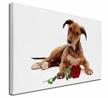 Lurcher Dog with Red Rose Canvas X-Large 30"x20" Wall Art Print